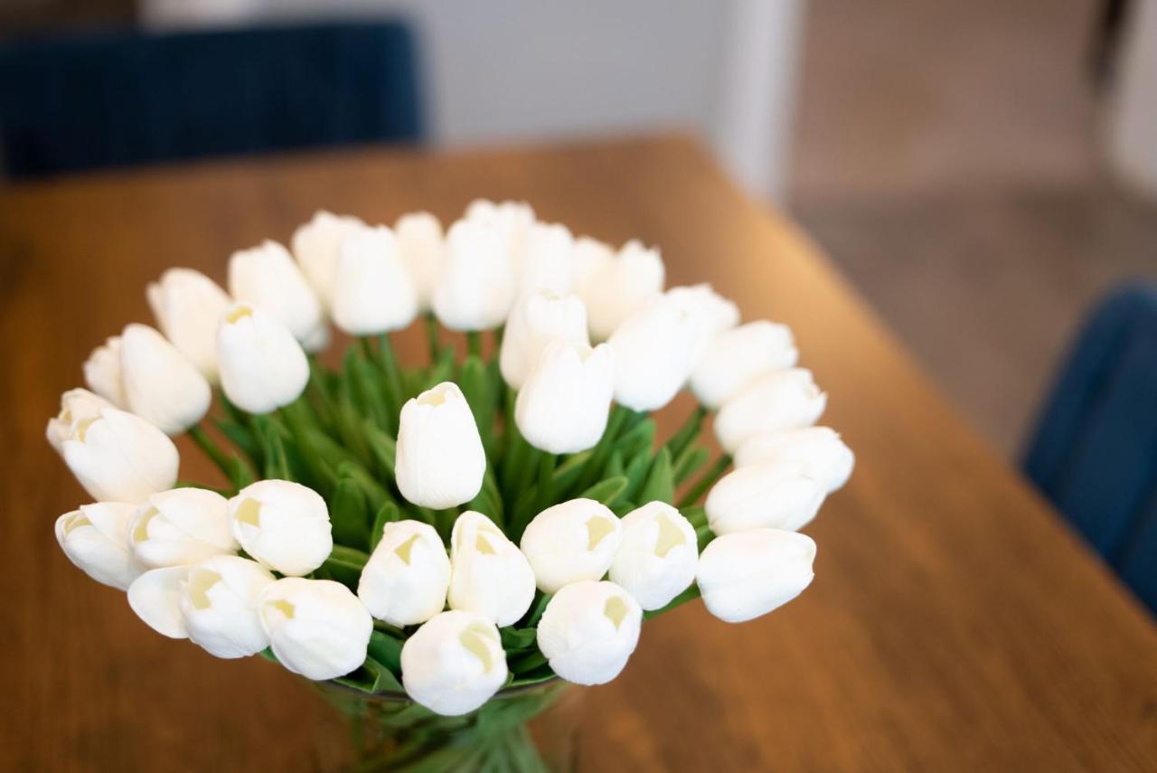 Modern 3 Bed, 2 Bath Home Minutes To Downtown & Alamodome ซานอันโตนิโอ ภายนอก รูปภาพ